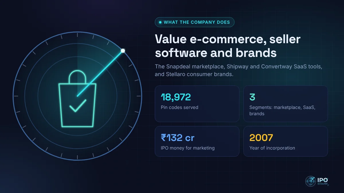 What Acevector (Snapdeal) does: Value e-commerce, seller software and brands