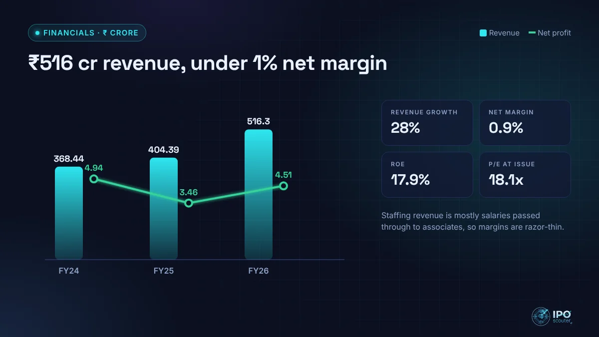 Coreintegra Consulting Services revenue and net profit with key ratios