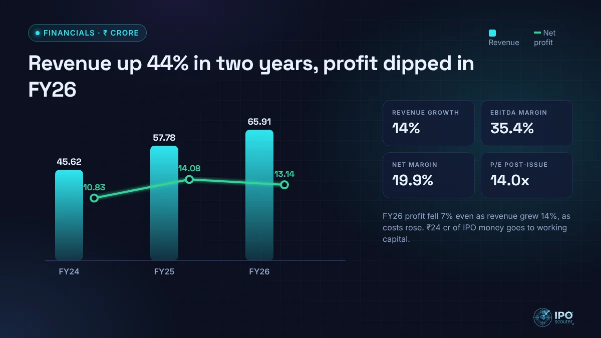EverestIMS Technologies revenue and net profit with key ratios