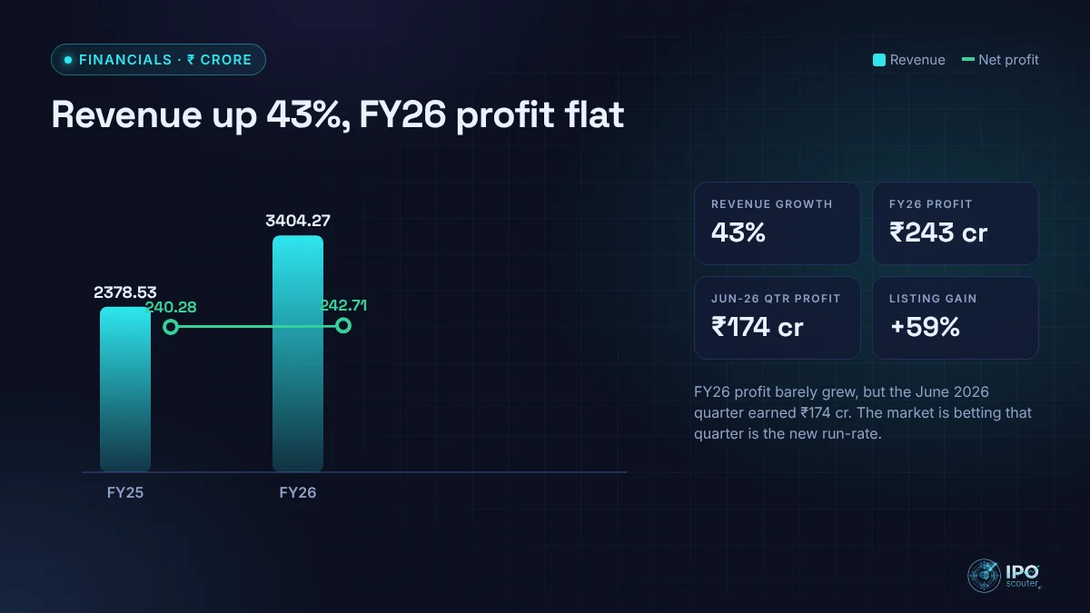 Moneyview revenue and net profit with key ratios
