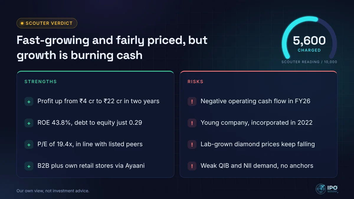 Nityas Gems & Jewellery IPO strengths and risks with Scouter verdict 5,600