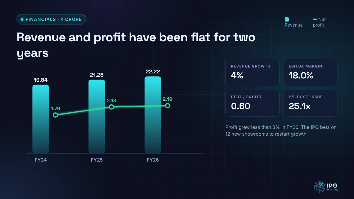Sollfege Smart Electronics revenue and net profit with key ratios
